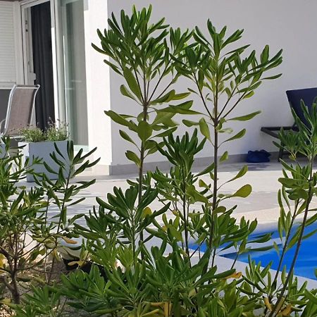 Pool Apartments & Rooms Mare نوفاليا الغرفة الصورة
